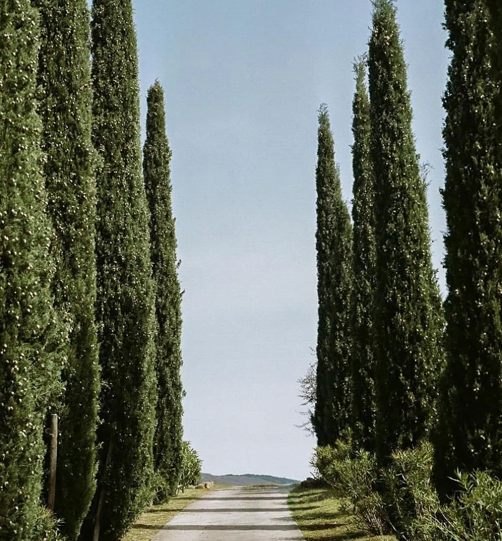 Le Capannacce Villa Cinigiano 0*,